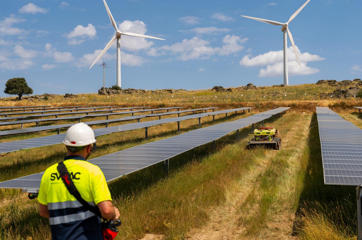 Negative prices for electricity are getting more common in Europe and consumer costs have dipped—while Americans face rising energy bills