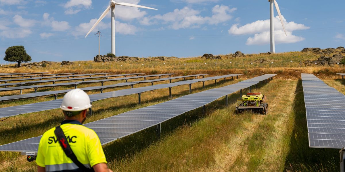 Harga Listrik Negatif Semakin Sering Terjadi di Eropa—Sementara Warga Amerika Membayar Lebih