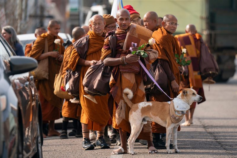Buddhist monks are walking barefoot from Texas to D.C. with their dog, drawing big crowds across the South