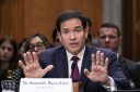 rubio
