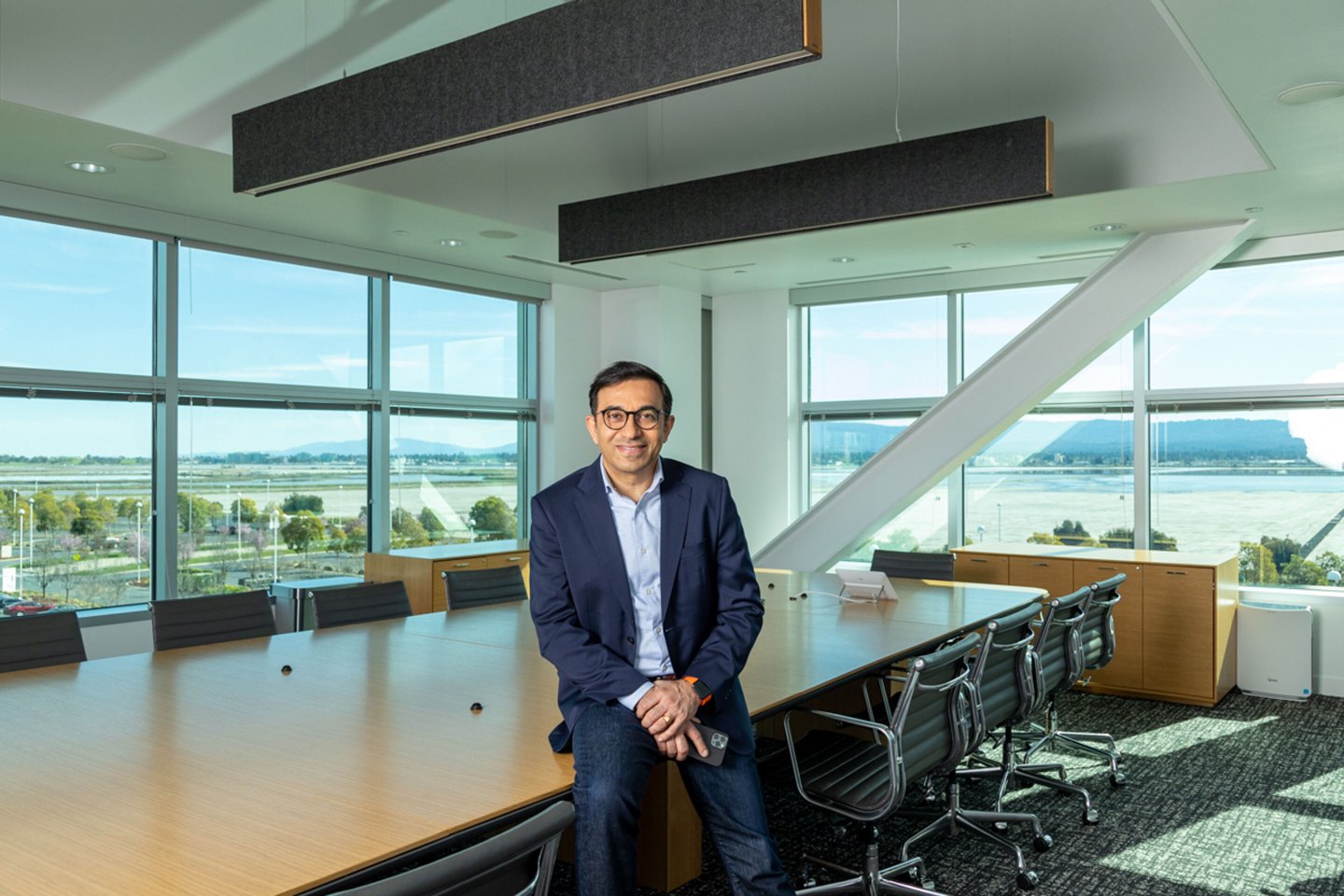 The CEO of Informatica, Amit Walia
