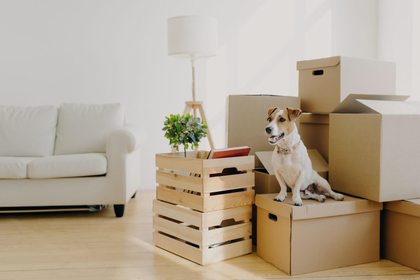 Best personal loans for moving and relocation 2026: An affordable way to finance your next big adventure