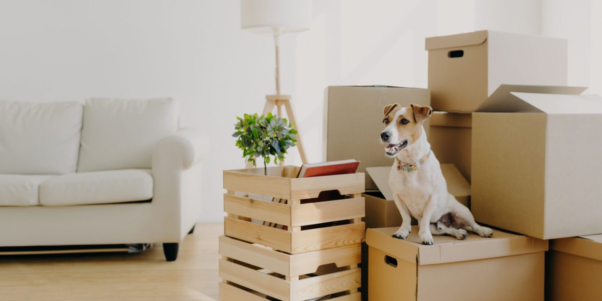 Best personal loans for moving and relocation 2026: An affordable way to finance your next big adventure