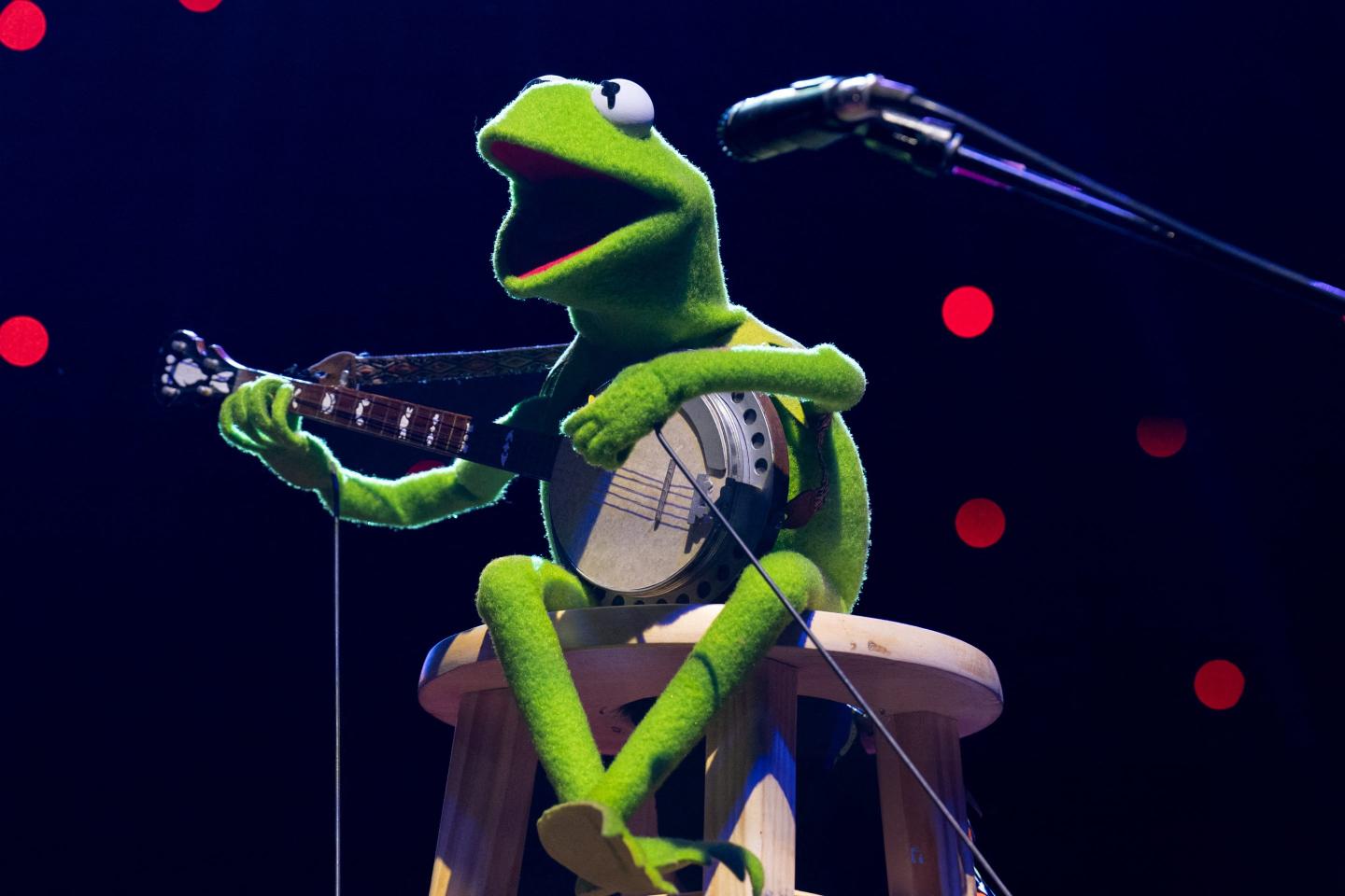 kermit