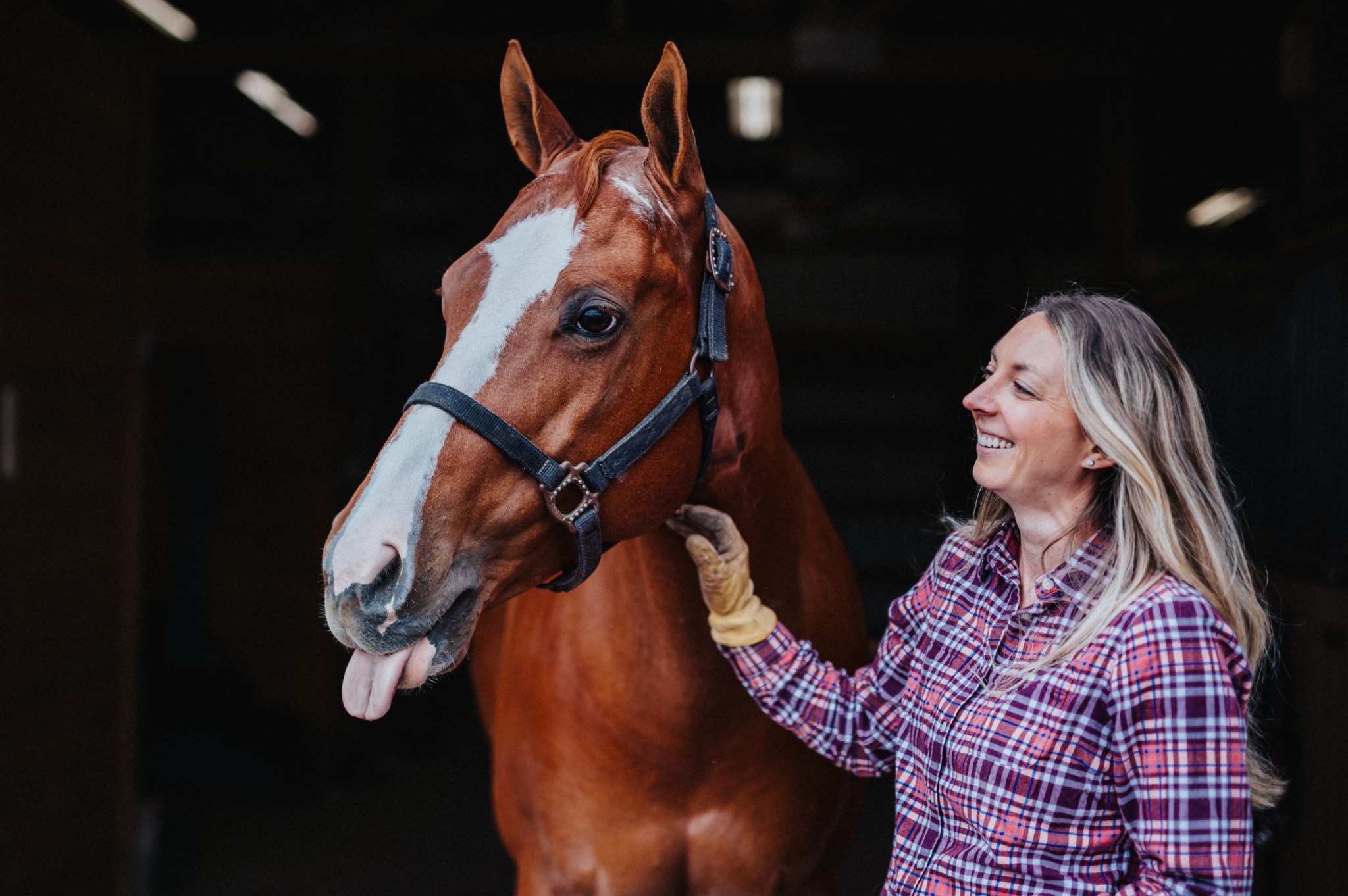 ‘Humans could go the way of horses’: Goldman calculated how bad the AI ‘job apocalypse’ will be—and its analysts were pleasantly surprised