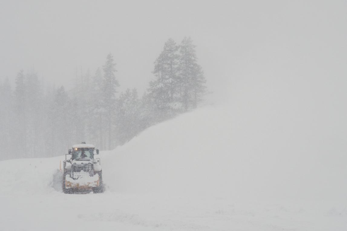 Skiers paid $1,165 to join a guided tour that left 8 dead and 1 missing in a California avalanche