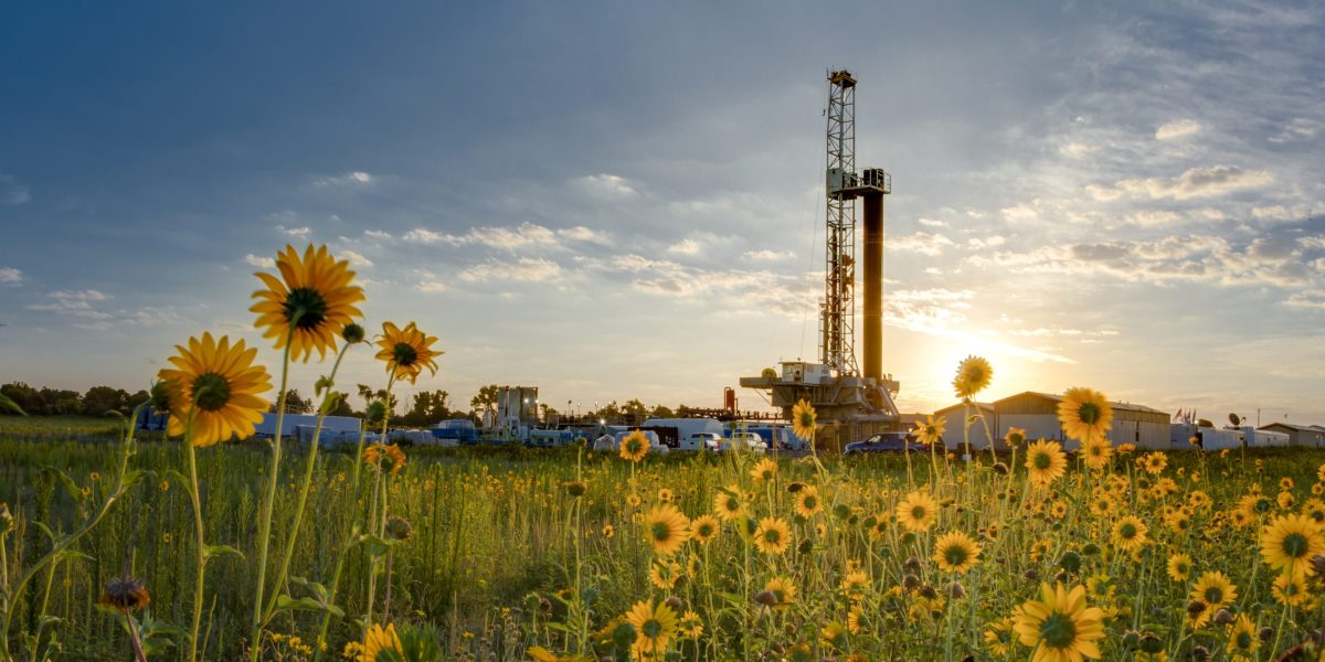 Ikon Tombol Panah Bawah