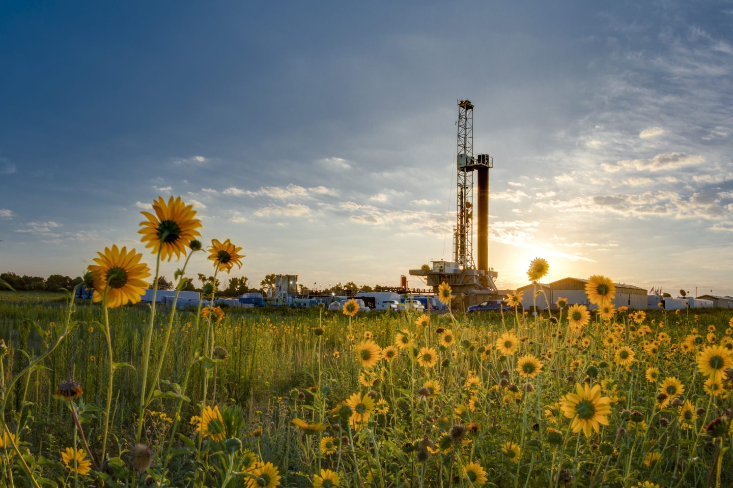 A Devon Energy drilling rig spread is pictured amid sunflowers in Oklahoma's Anadarko Basin.