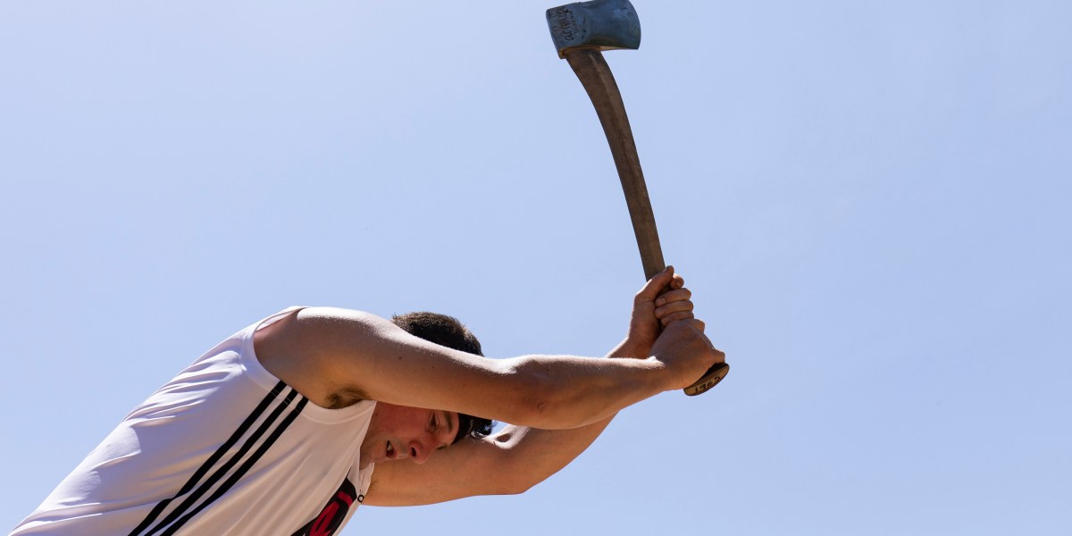 Tech stocks go into free fall as it dawns on traders that AI has the ability to cut revenues across the board