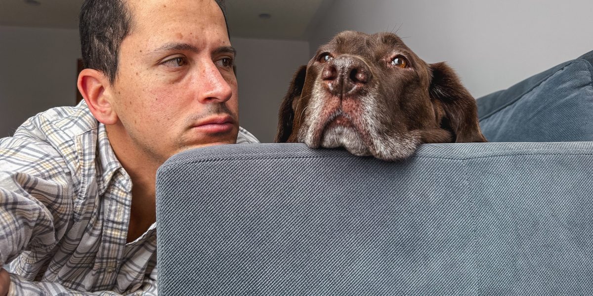 Kecintaanmu yang Berlebihan pada Anjing: Dampak Mimpi Amerika yang Runtuh dan Hilangnya Makna Hidup Pascapandemi