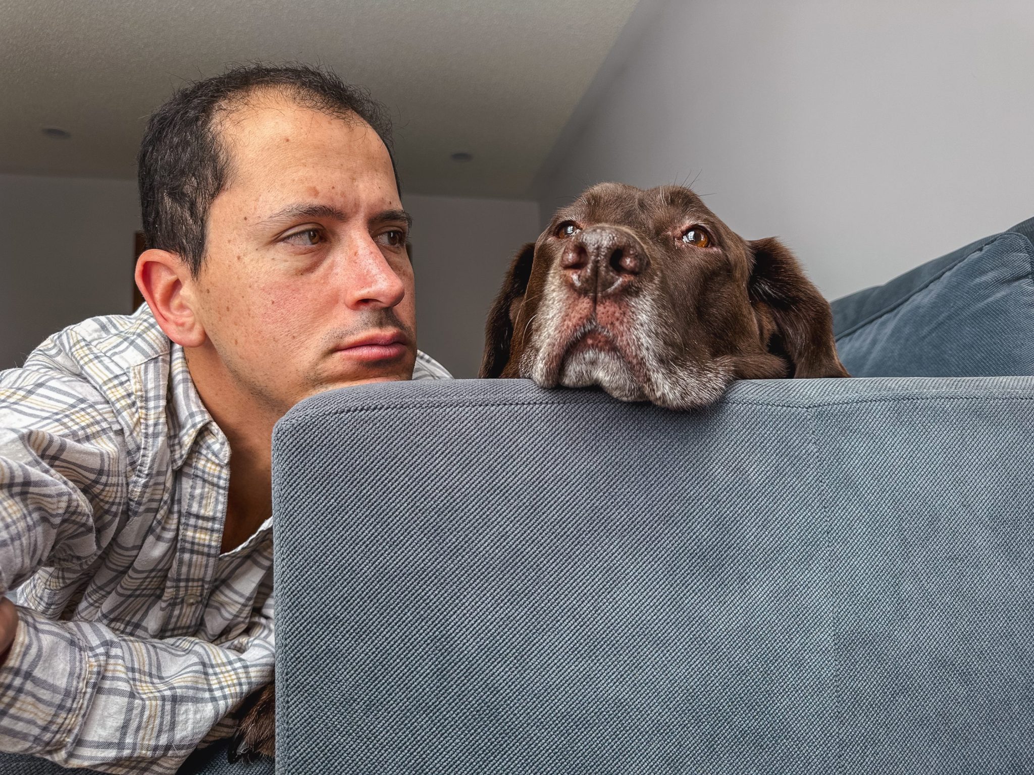 You love your dog too much. Blame the broken American Dream and loss of purpose since the pandemic