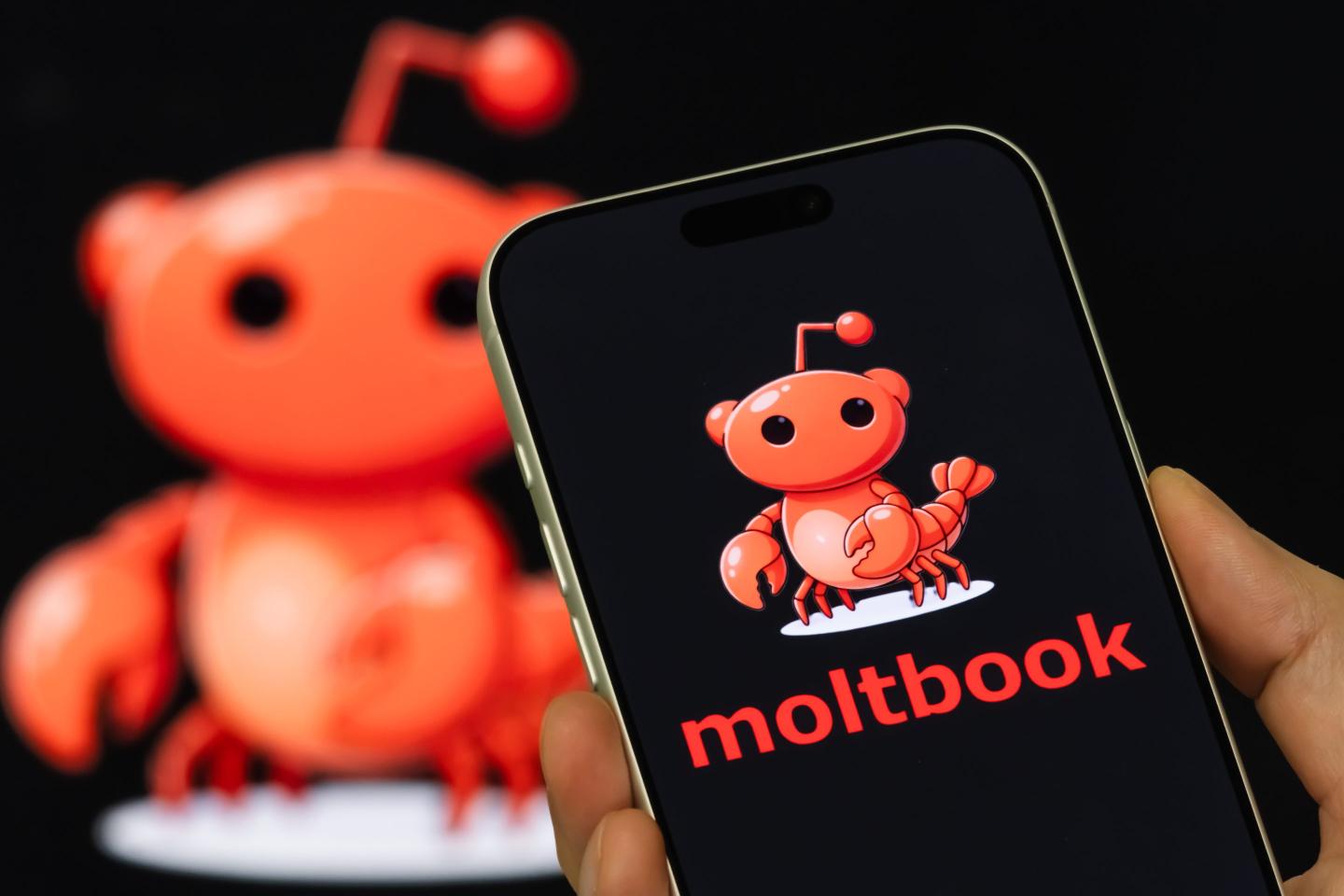 a person holds a smartphone displaying the Moltbook logo