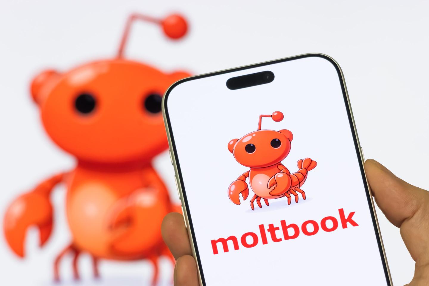 Image of Moltbook app logo on a smart phone with another image of the Moltbook logo in the background.