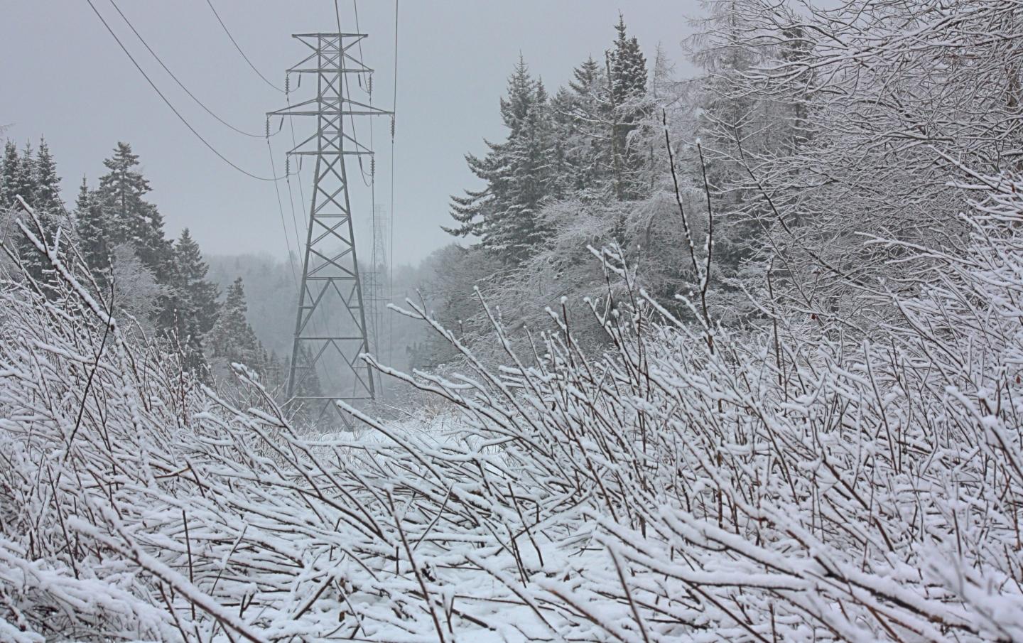 electricity