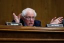 bernie
