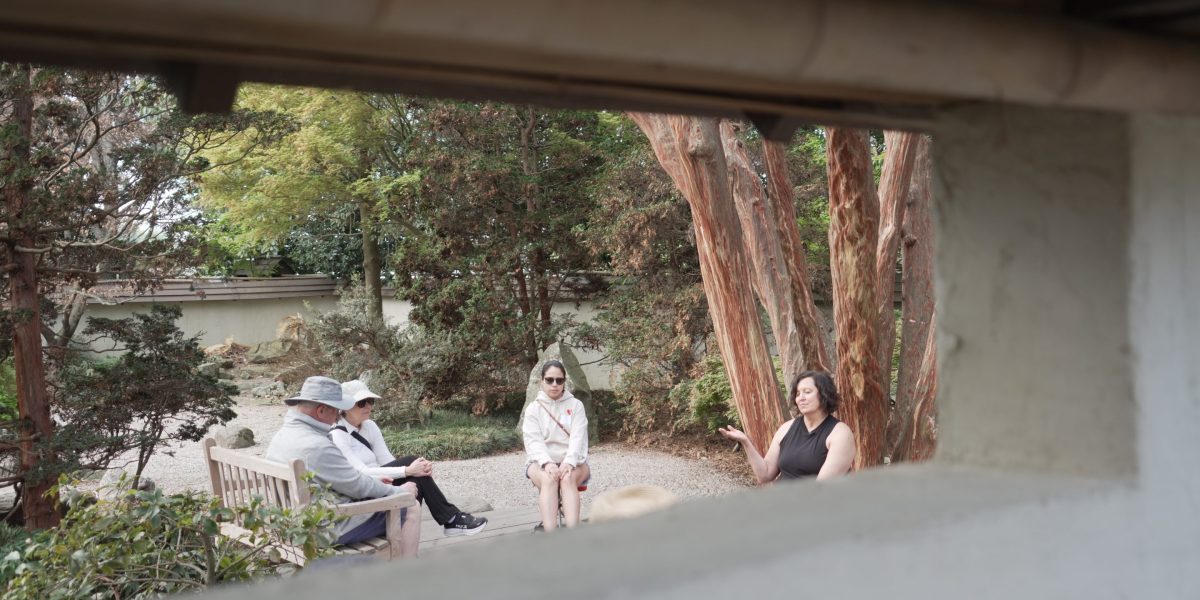 Forest 'bathing' can reduce stress, improve mood, lower blood pressure and boost the immune system. Here's how it's done | Fortune