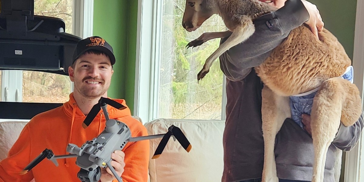 Kangaroo escapes from Wisconsin petting zoo by scaling 8-foot fence, hops through town for 3 days | Fortune