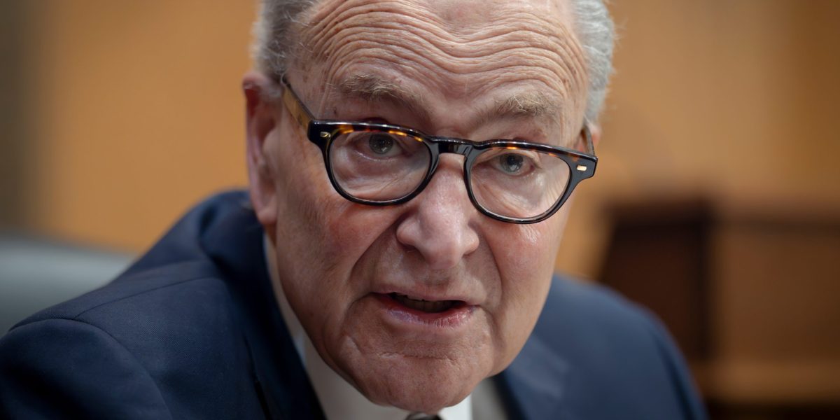 Democrats in disarray as rank and file clash with Chuck Schumer's plan to run elderly moderates in must-win races | Fortune