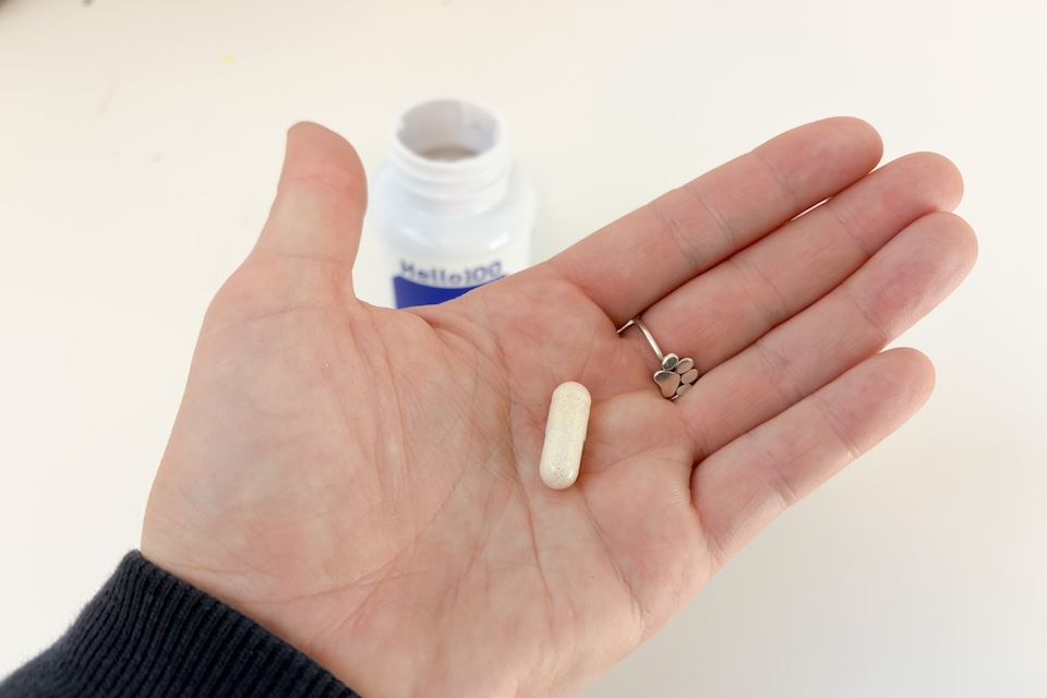 A close-up of an open palm holding an off-white NMN Delayed Release capsule.