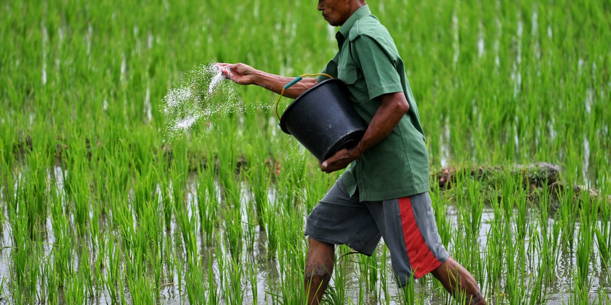 The Iran war cripples Asia’s supplies of fertilizer and helium, threatening farms and chipmakers alike | Fortune