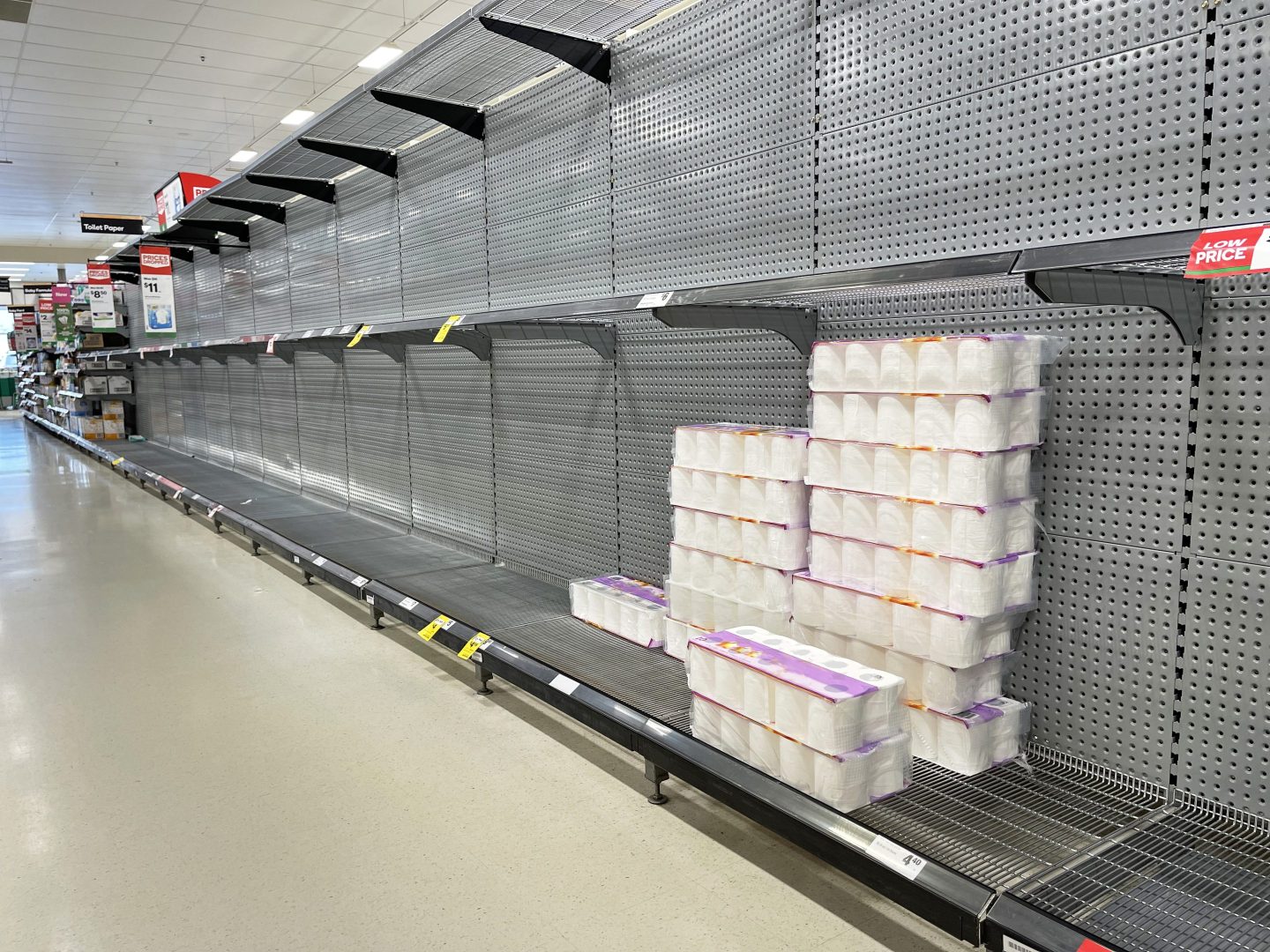 Toilet paper on empty supermarket shelves, lockdown panic buying