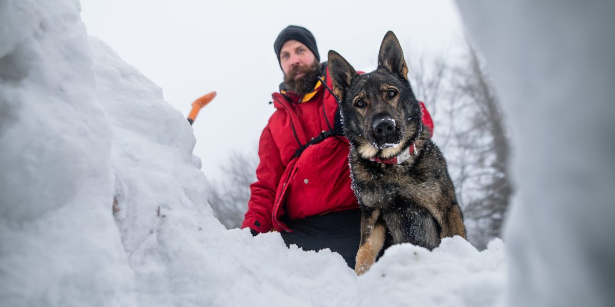 What avalanche safety training can teach corporate boards about bad decisions | Fortune