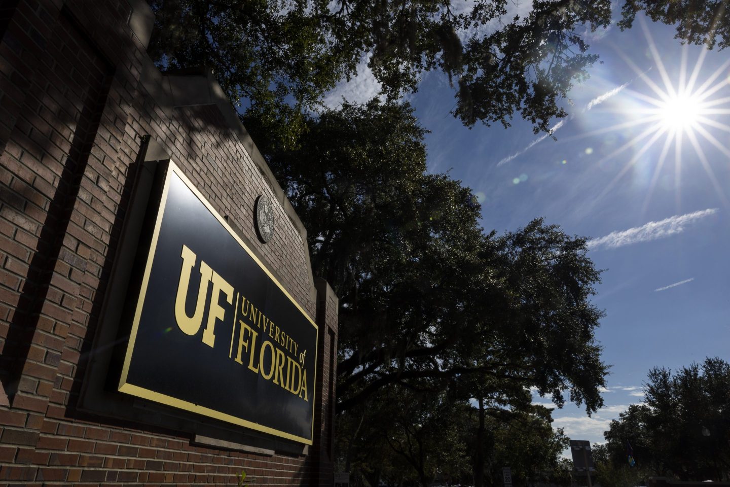 university of florida