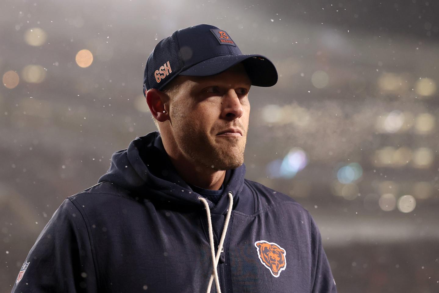 bears