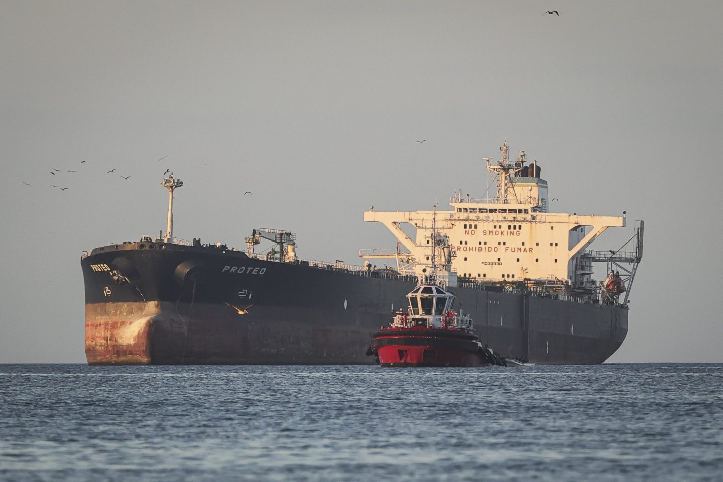 OPEC+ to resume oil output increases as Iran conflict rages