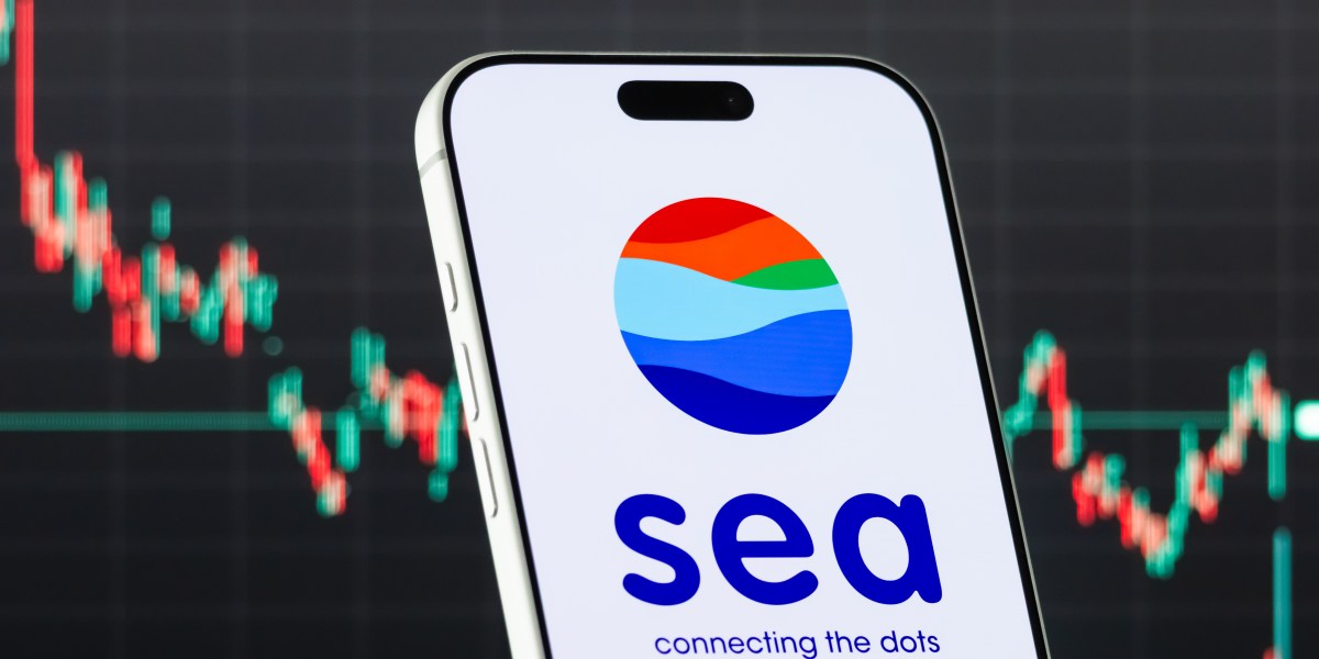 Sea doubles annual earnings, yet profitability worries drag shares down in worst drop in 2 years
