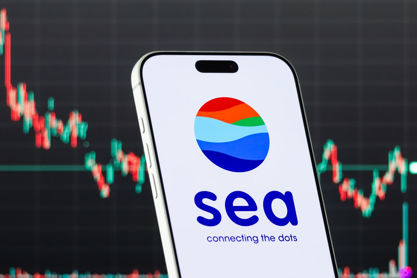 Sea doubles annual earnings, yet profitability worries drag shares down in worst drop in 2 years