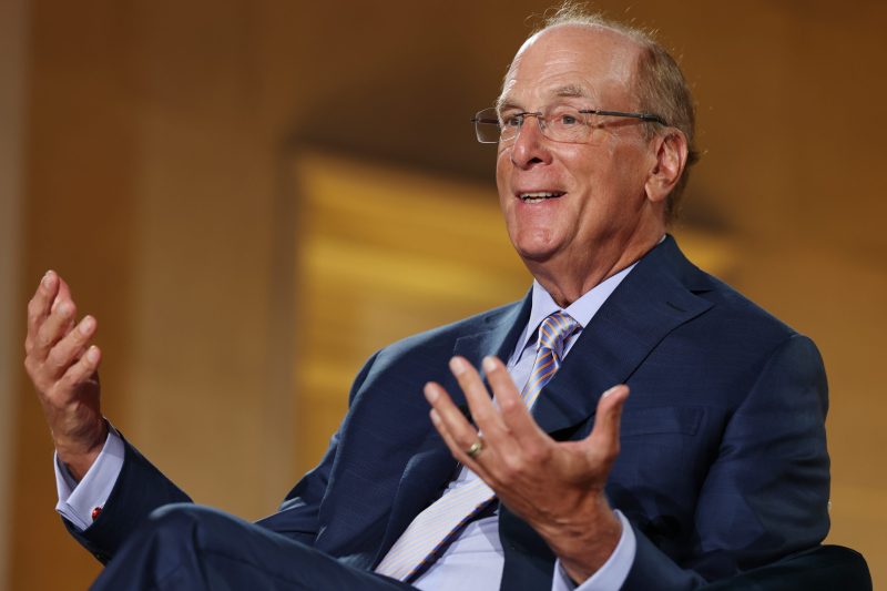 BlackRock’s Larry Fink predicts AI bankruptcies: ‘That’s capitalism’