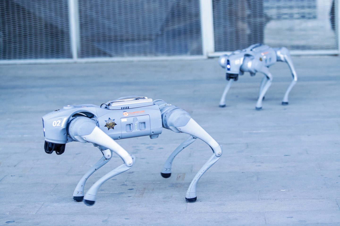 robot dogs