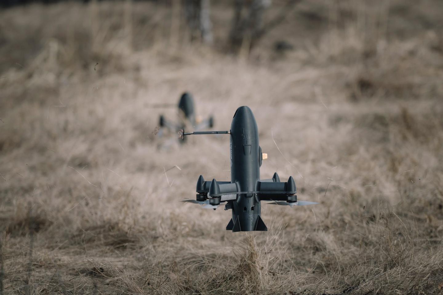 drone in dry grass