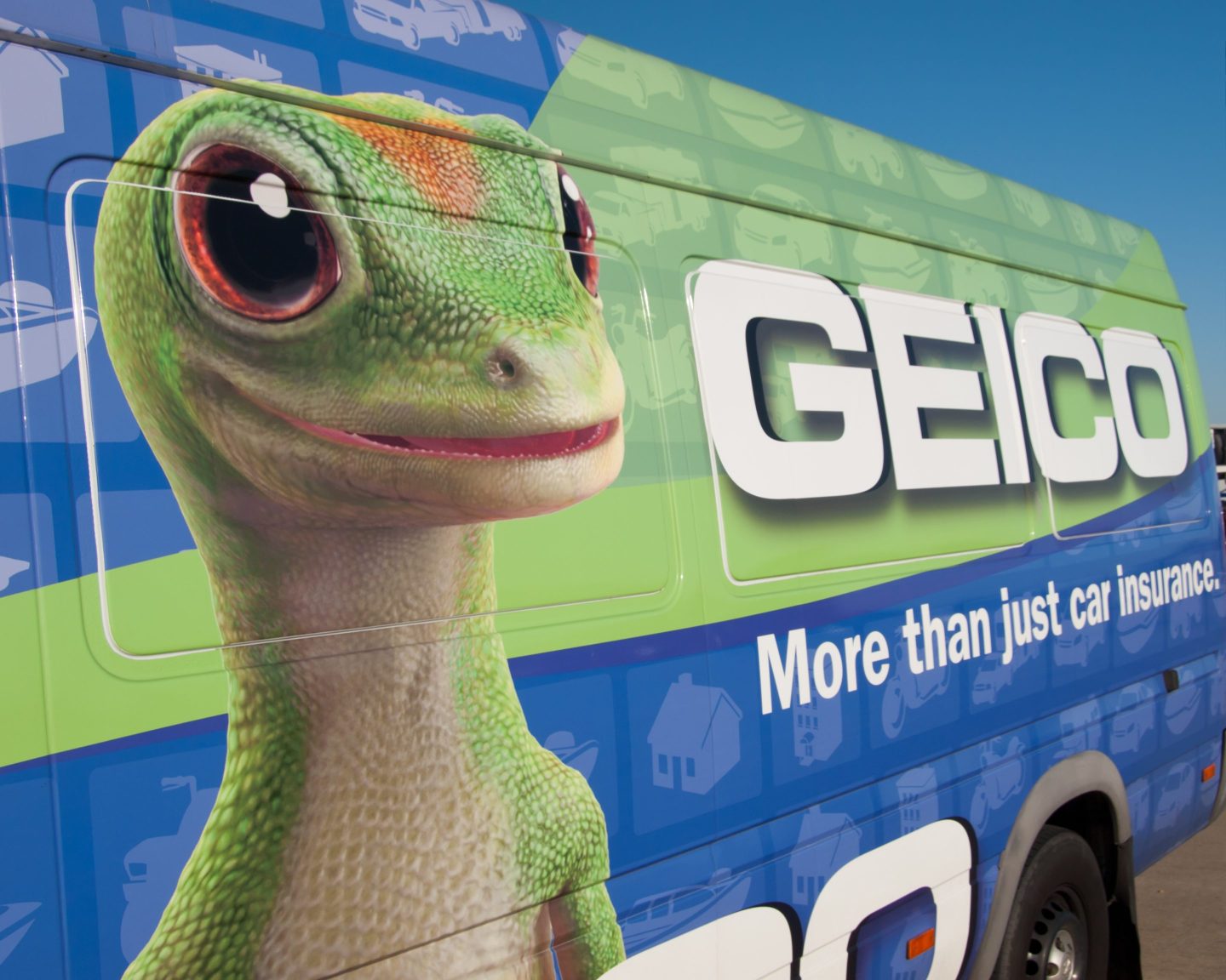 gecko