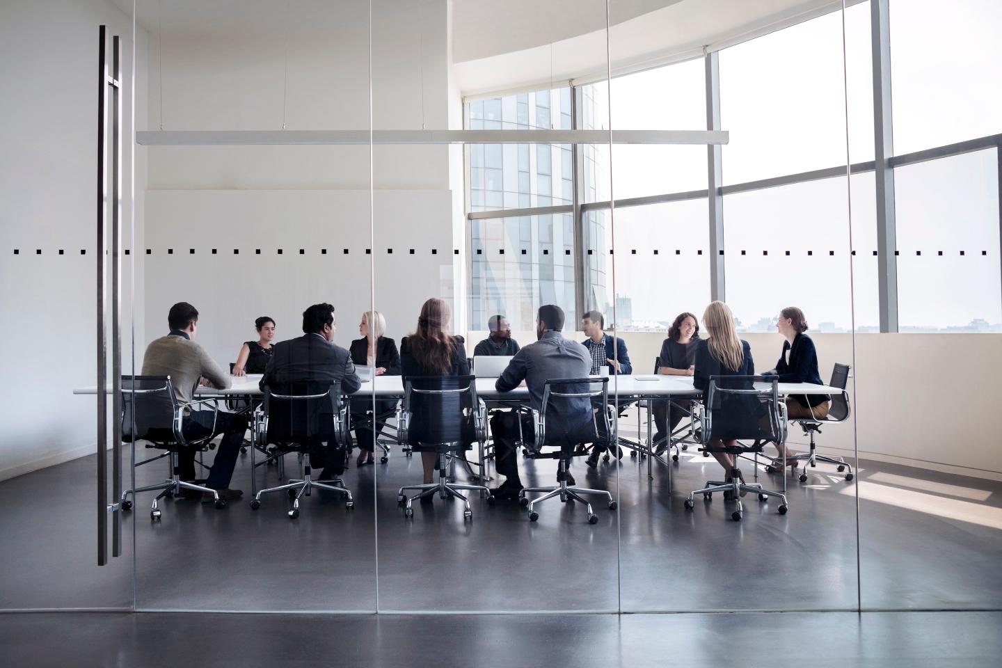 Colleagues at business meeting in conference room