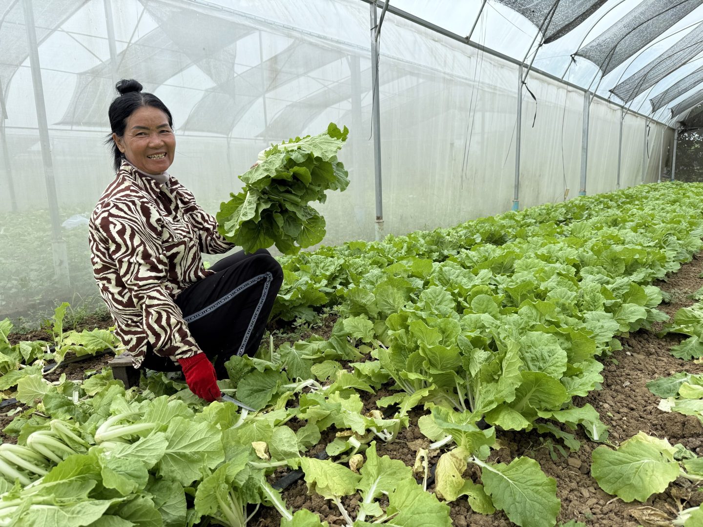 Macquarie bets impact investing can fill an Asian financial access gap for the ‘missing middle’