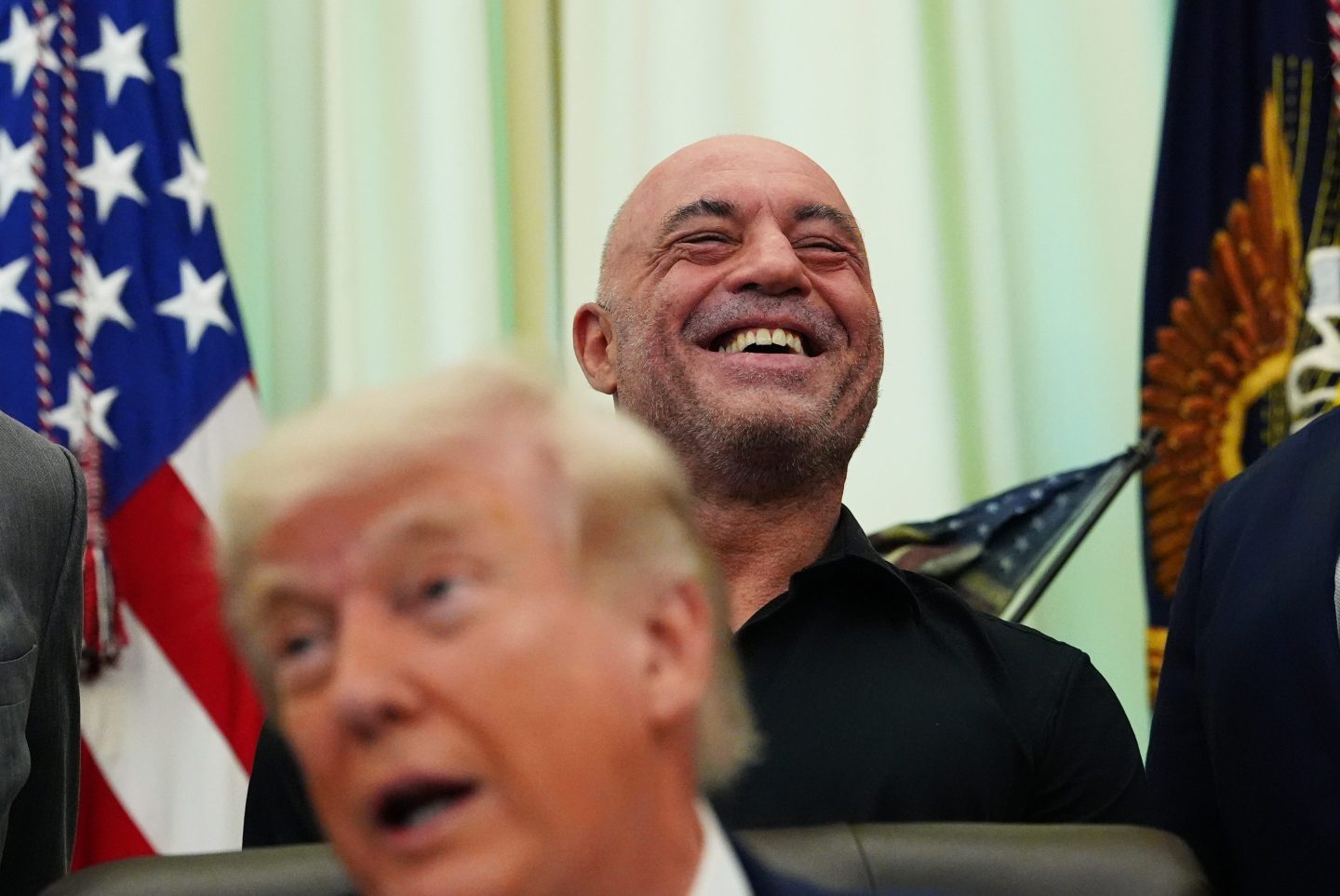 Trump speeds review of psychedelics after Joe Rogan texted him about ibogaine. ‘Sounds great. Do you want FDA approval? Let’s do it’