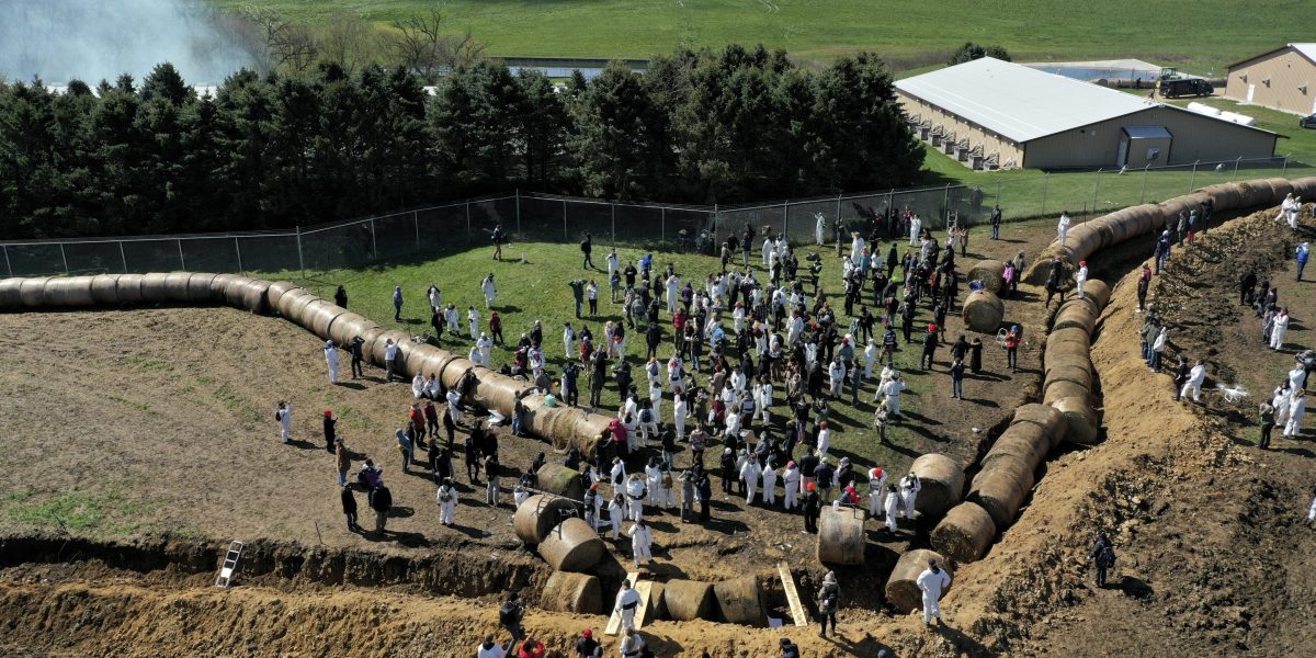 Rubber bullet carnage as 1,000 animal welfare activists storm beagle breeding lab in Wisconsin