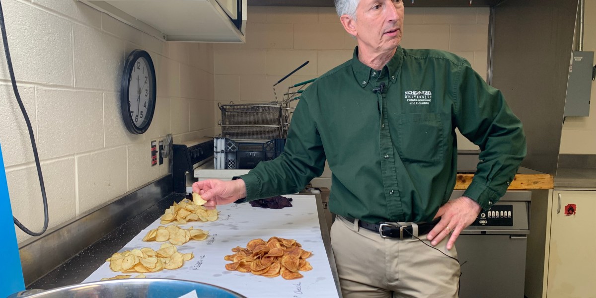 Meet the man who invents new potato varieties for your potato chips: 5 new variants in the last 15 years