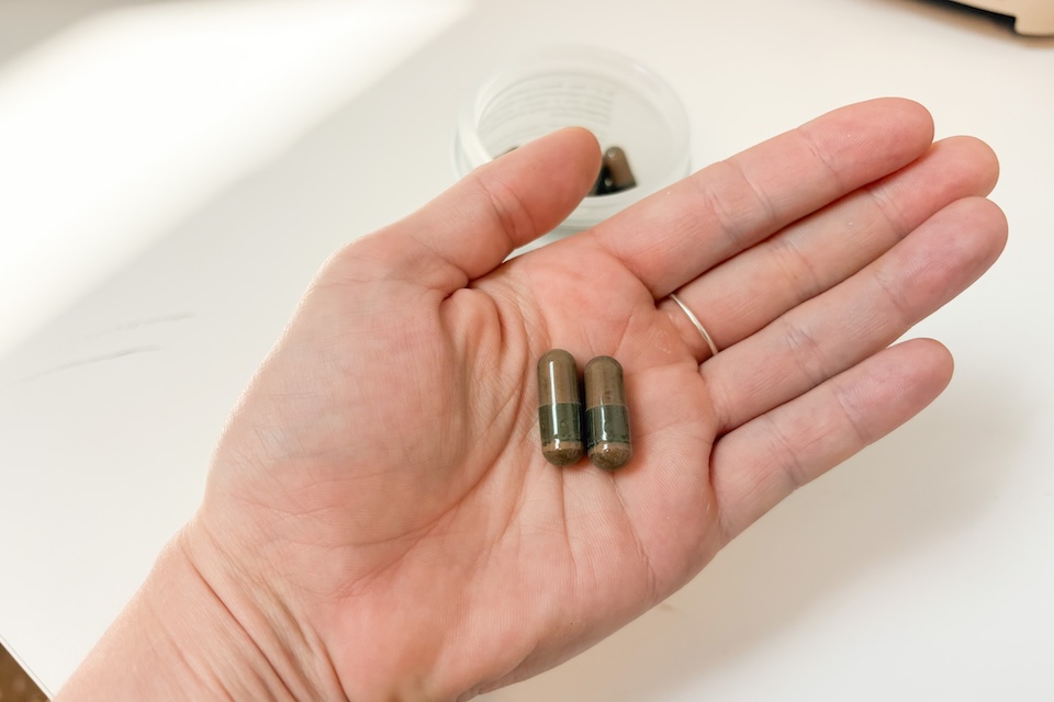 Two Seed PM-02 capsules sitting in an open palm.