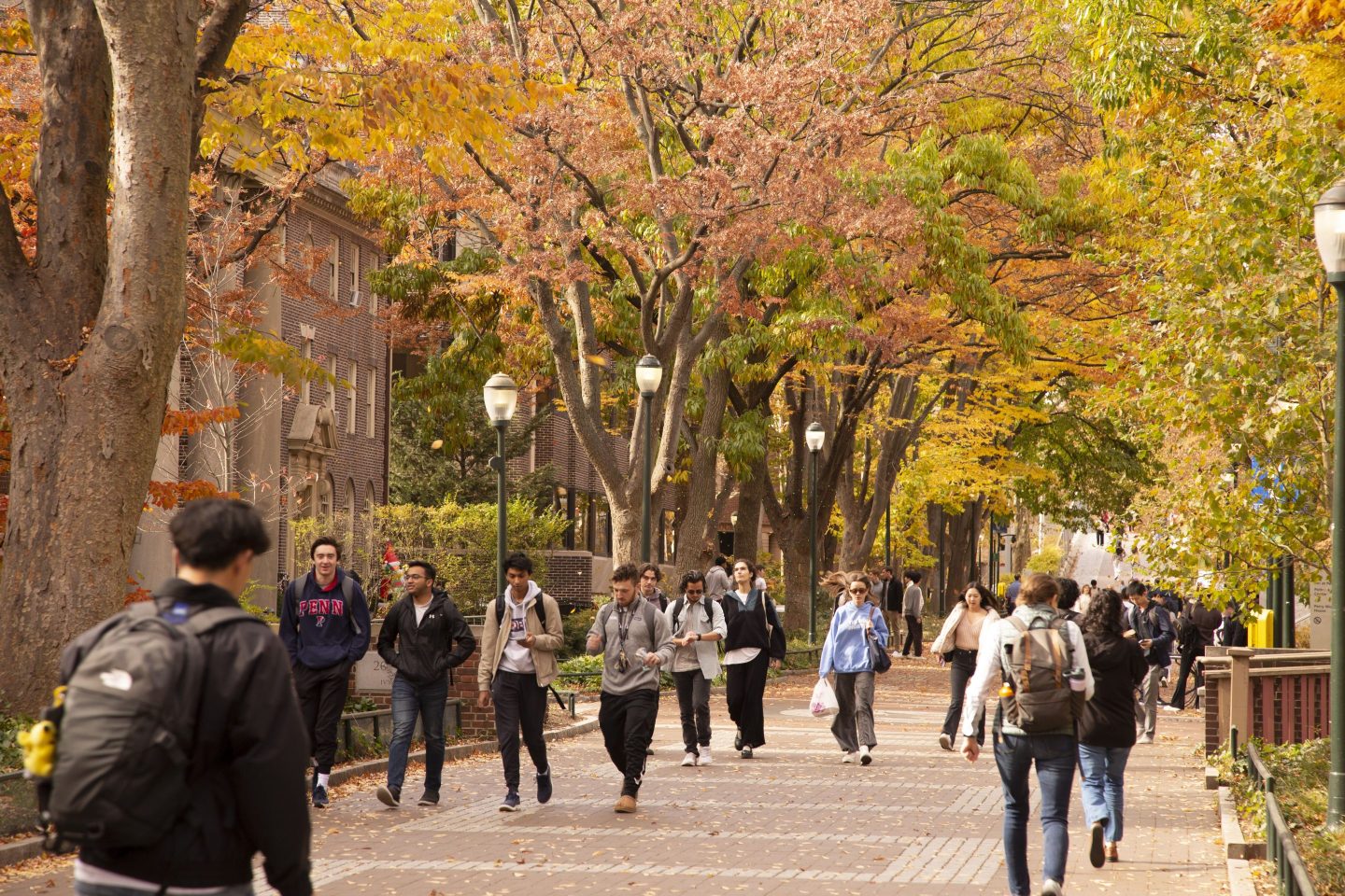 students walk on a brick-paved path surrounded by trees with fall-colored leaves