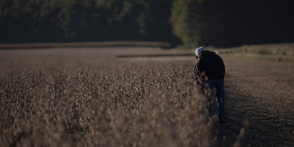 Harga Pangan Kembali Naik, Kekeringan, Perang, dan Tarif Disalahkan