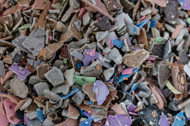 Toxic chemicals are raising infertility in humans, fish, birds, and insects: ‘A whisper that is powerful enough to redirect a hurricane’