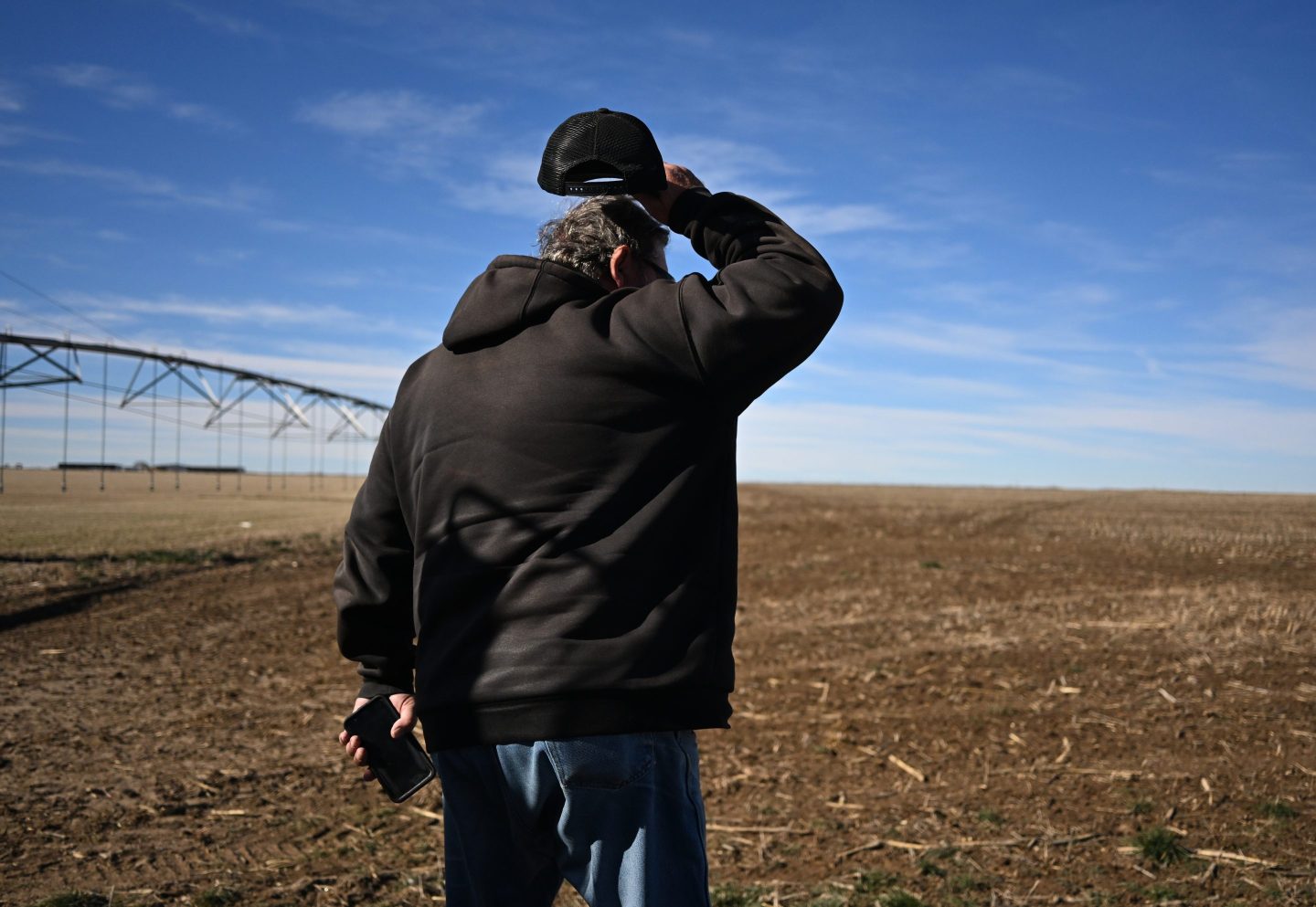 U.S. wheat crops wither, herds thin as spring drought deepens