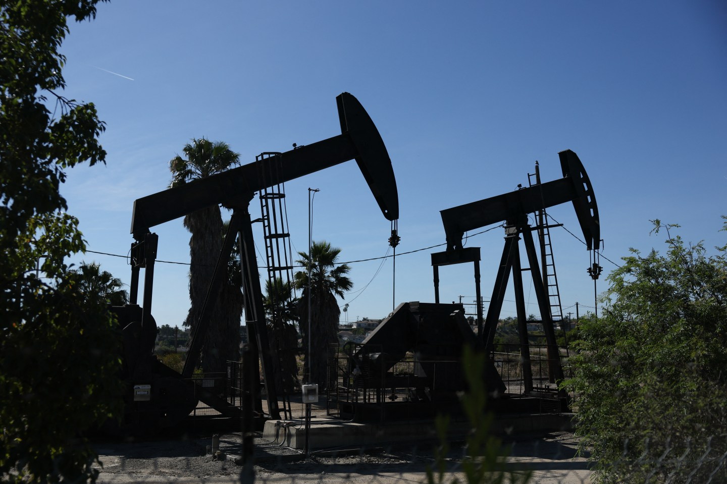 Most of Wall Street points to high oil prices as the driver of inflation. A maverick Johns Hopkins economist says they’re chasing the wrong culprit