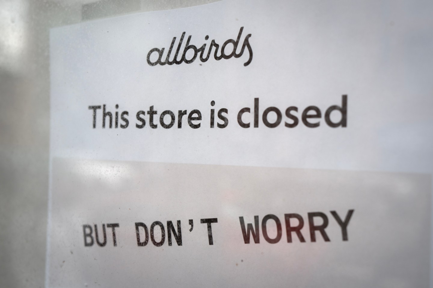 From wool sneakers to GPUs: Allbirds’ desperate AI pivot and 600% stock surge, explained
