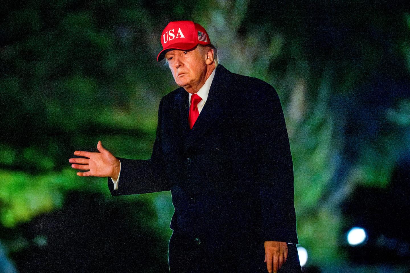Photo: Donald Trump