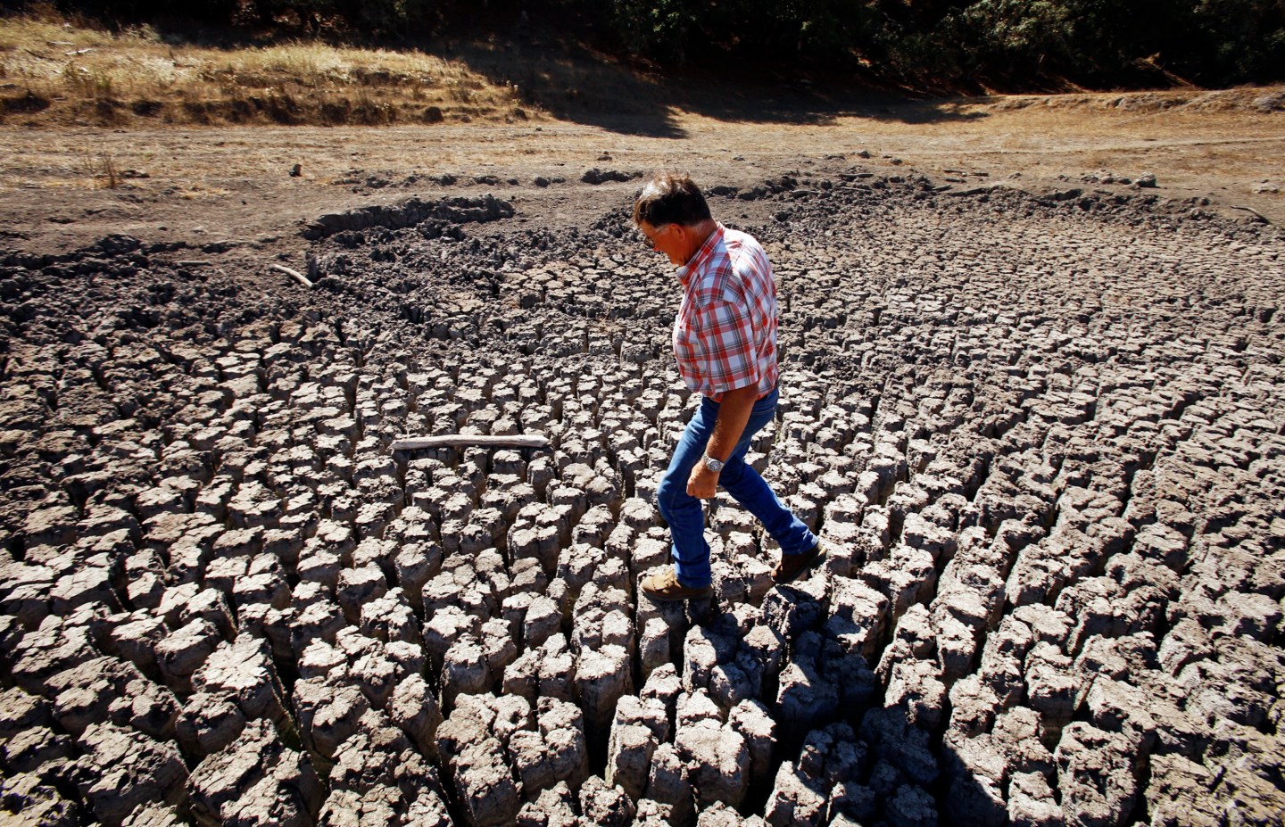 A man walks on a patch of land that is dried and cracked