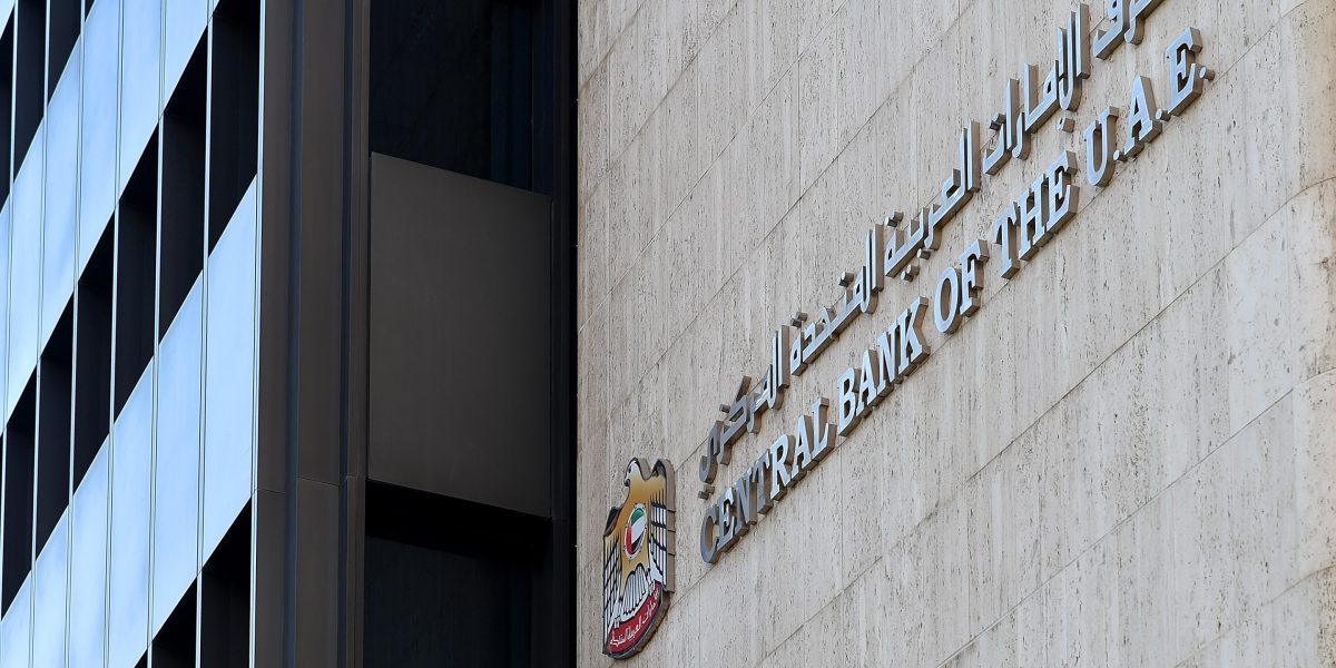 UAE Seeks US Financial Lifeline Amid Iran War